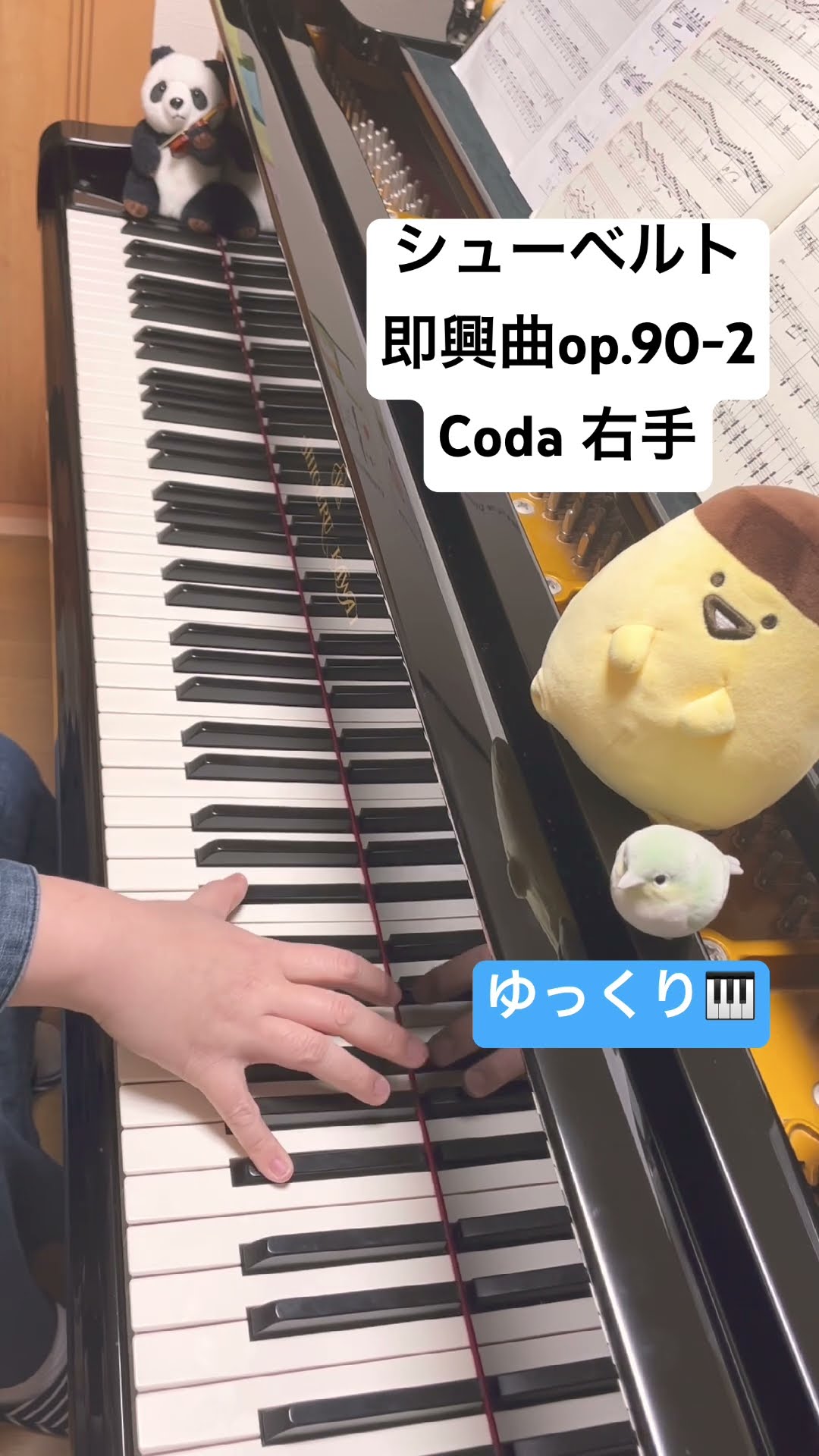 シューベルト 即興曲 op.90-2 Coda右手 - YouTube