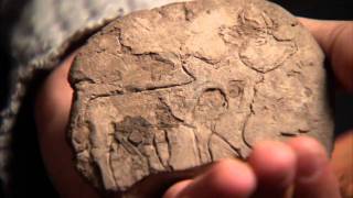 Treasures of the UCLA Library: Cuneiform Tablets (Part 3 of 5)