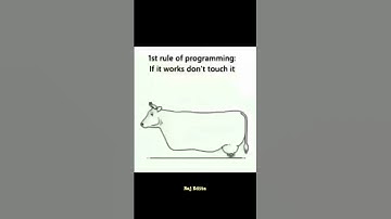 1st rule of programming #coders #codeadventure #codingandprogramming #memes #funny #viralshorts