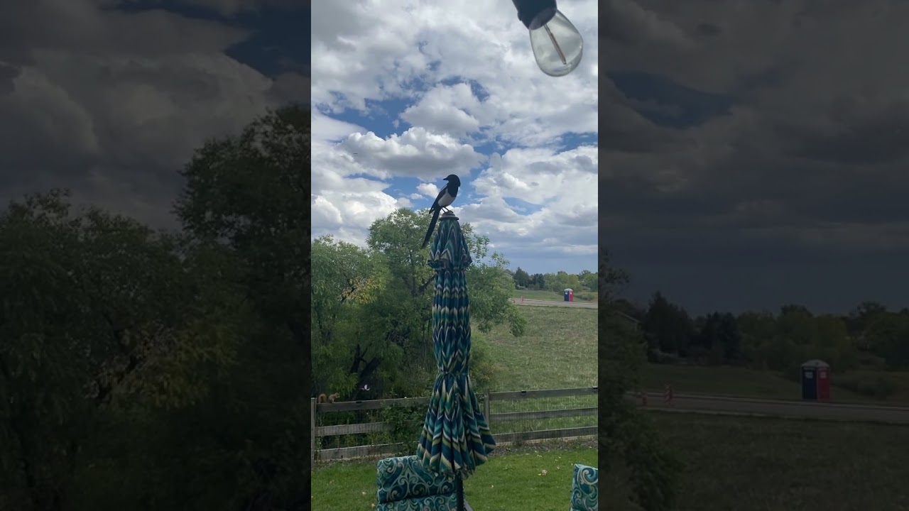 Listen to Jay! Call Jan today for a free consultation!