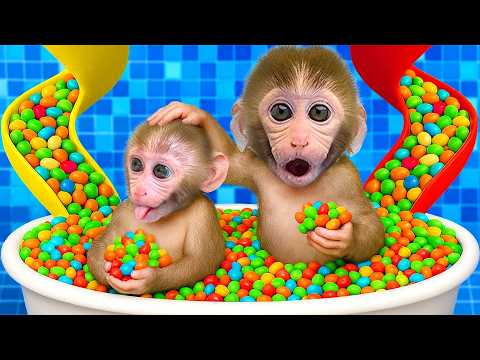 Bon Bon the Monkey Plays with Colorful Candy with His Younger Sibling in the Bathtub