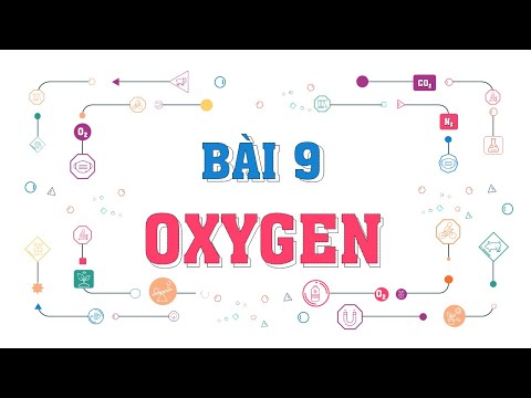 Video [POWERPOINT] BÀI 9 - OXYGEN - KHOA HỌC TỰ NHIÊN 6 -... - youtube