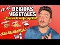 BEBIDAS VEGETALES / ¿Son Saludables? ¿La Mejor Opción? ¿VS Leche?