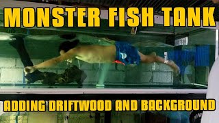 ADDING DRIFTWOOD AND BLACK BACKGROUND | MONSTER FISH TANK