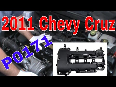 2011 Chevy Cruze P0171 & Hunter the Shop Dog