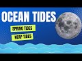 The Science Behind Tides and Their Connection to the Moon