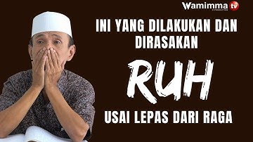 Ini Yang Dilakukan Dan Dirasakan Ruh Usai Lepas Dari Raga - Buya Syakur
