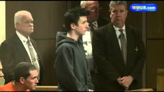 Vehicle thefts, arson described as joyride