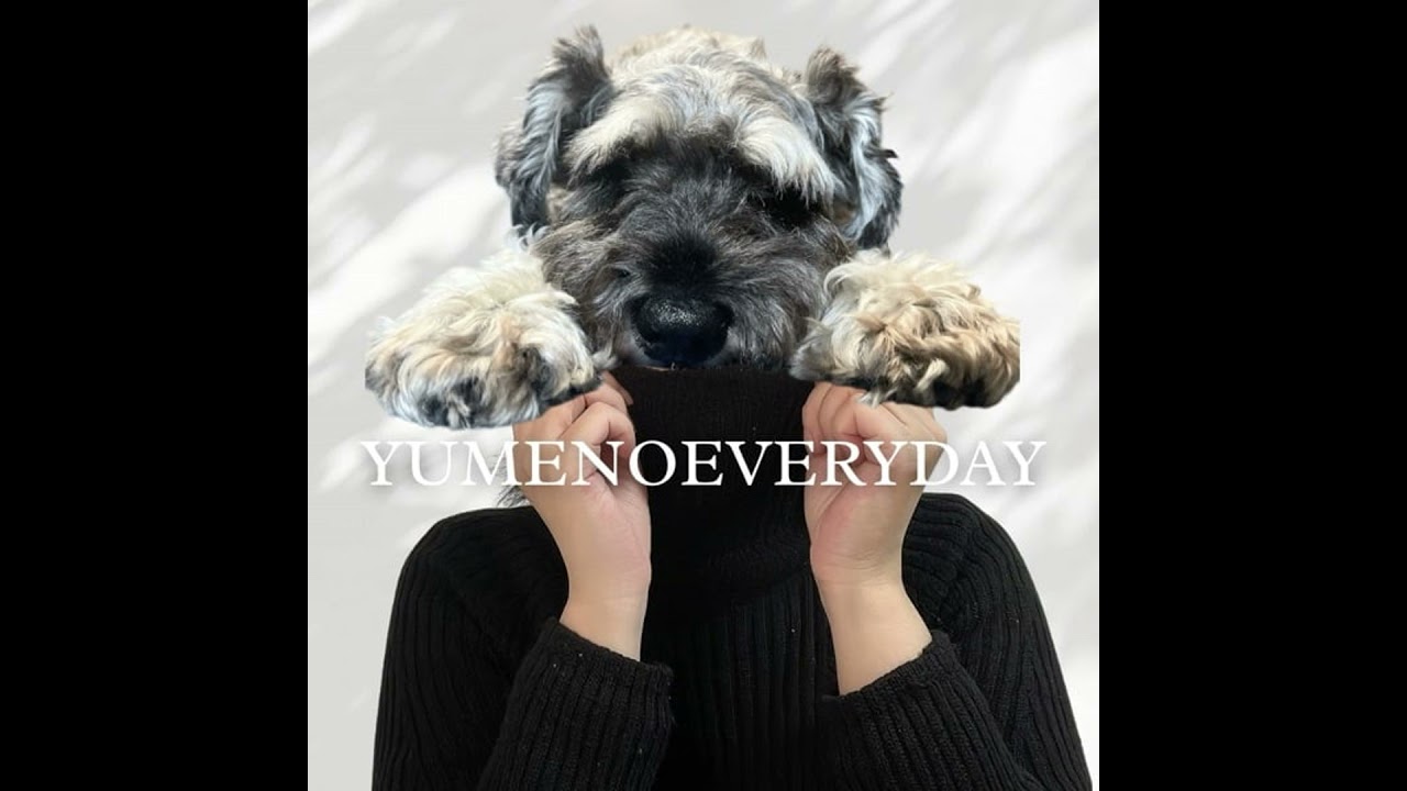 極める所は極めて、極めないことは調べることすらしない、私はこれでいい。