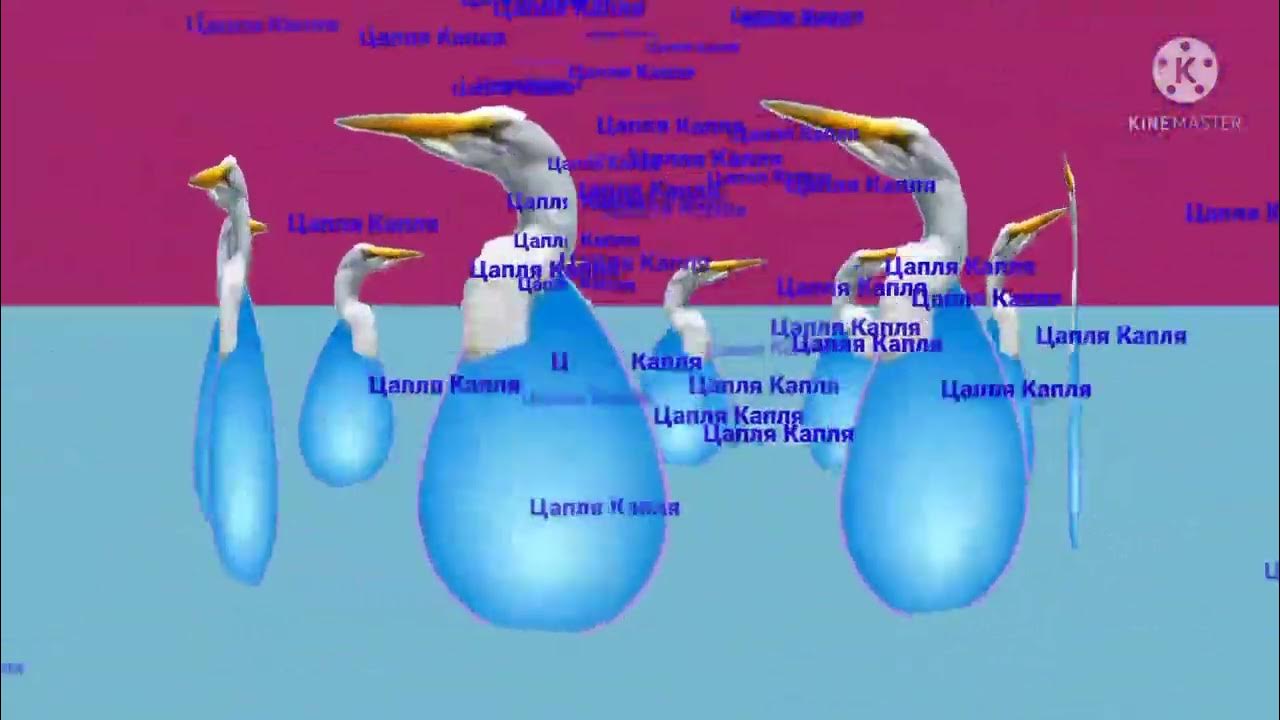 капли цапли