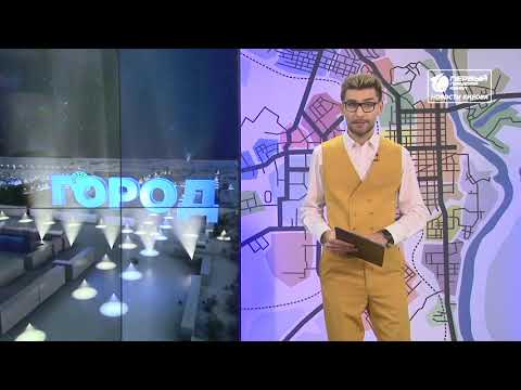 Уничтожили птиц в Зуевке  Новости Кирова  01 11 2021