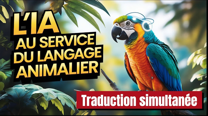 🧠 L'IA Décrypte le Langage des Animaux : Vers une Communication Interespèce ? 🚀🐋