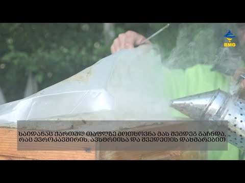 ევროკავშირის,ავსტრიისა და შვედეთის დახმარებით რაჭველმა თაფლის მწარმოებლებმა თაფლი ექსპორტზე გაიტანეს