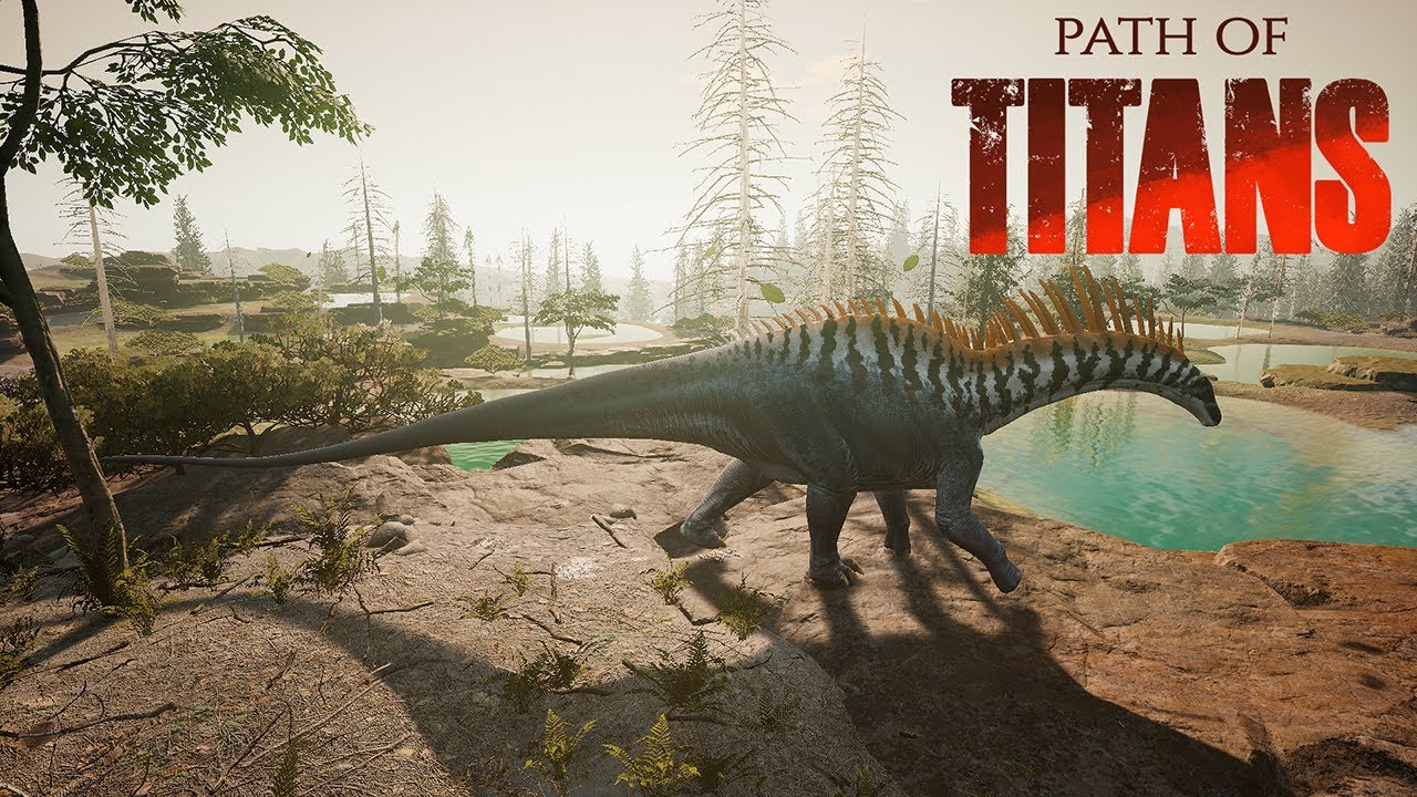 THE WALLS ARE GONE AND GONDWA LOOKS ABSOLUTELY STUNNING ALREADY! Path