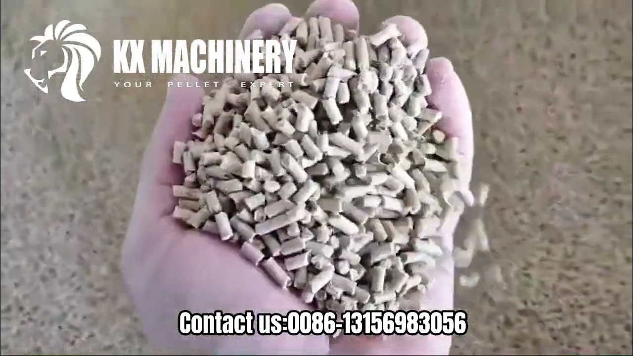 Corn Chicken Feed Pellet Mill Rice Feed Pellet Press Machine for Home Use