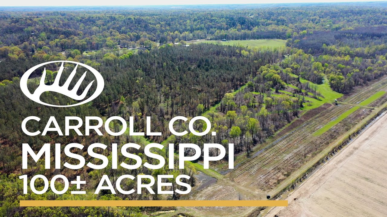 Carroll County, MS 100± Acres YouTube
