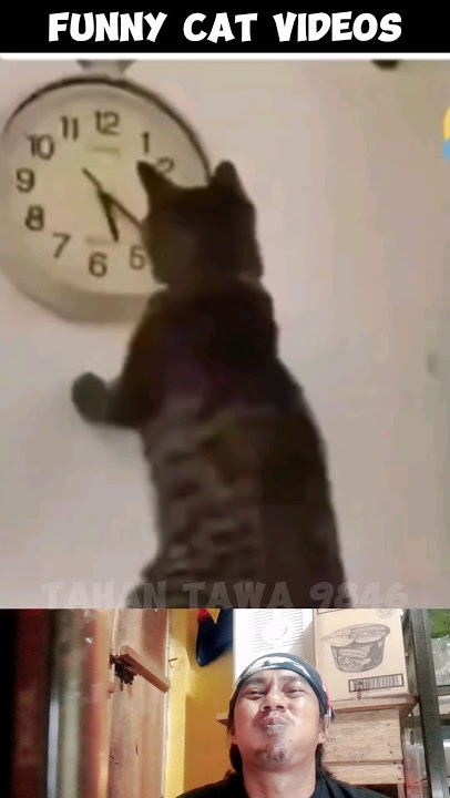 Tahan tawa Mencetin hp merek nya Blackberry | Video lucu pakai kucing lucu lucu #shorts