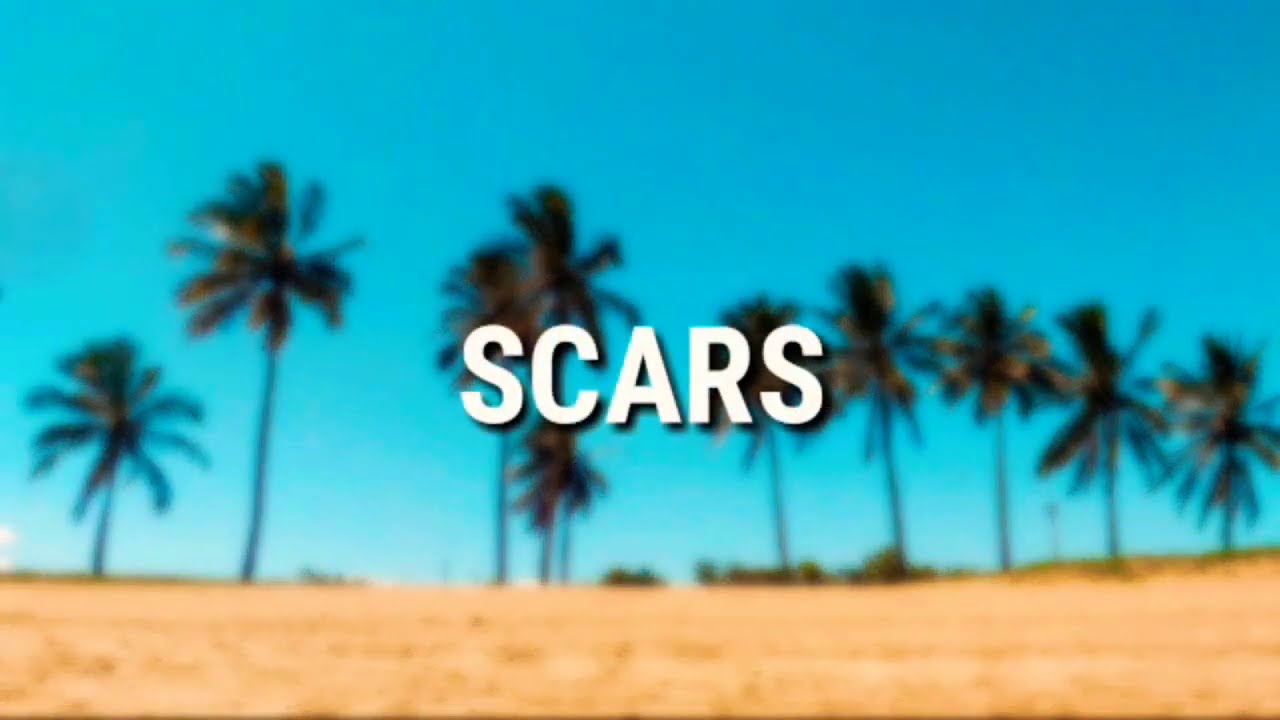 RIMCITY - Scars