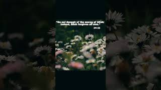 Download Lagu 84 days to Ramadan 2026🌙#ramadan #quotes #peace #acapella #reminder #nasheed #sabr MP3