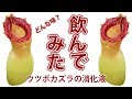 ウツボカズラ！食虫植物の消化液を飲んでみた！【虫を食べる植物展2017開催中】 咲く…