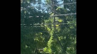 B455B425 In Rockville, Md On 91422