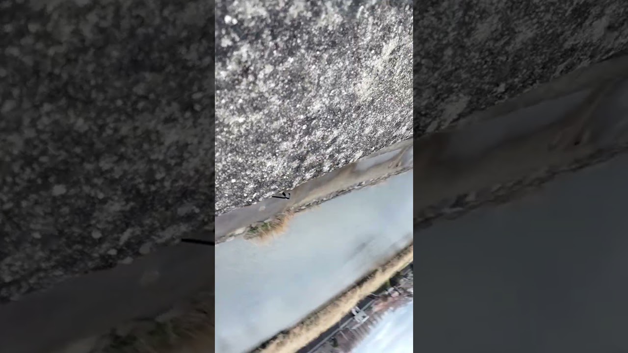 2026-03-03｜未編集｜屋外環境｜川と空｜12分