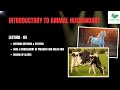 Introductory to Animal Husbandry| Lecture _04 | Breeding method &amp; systems, Raising of claves