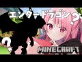 【マイクラ/サバイバル】初めてのエンダードラゴン討伐【ぴた鯖】