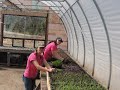 BUILD AN EASY ONION AND RADISH TABLE for Easier planting and harvesting.