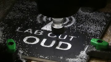 First Look at Carvey