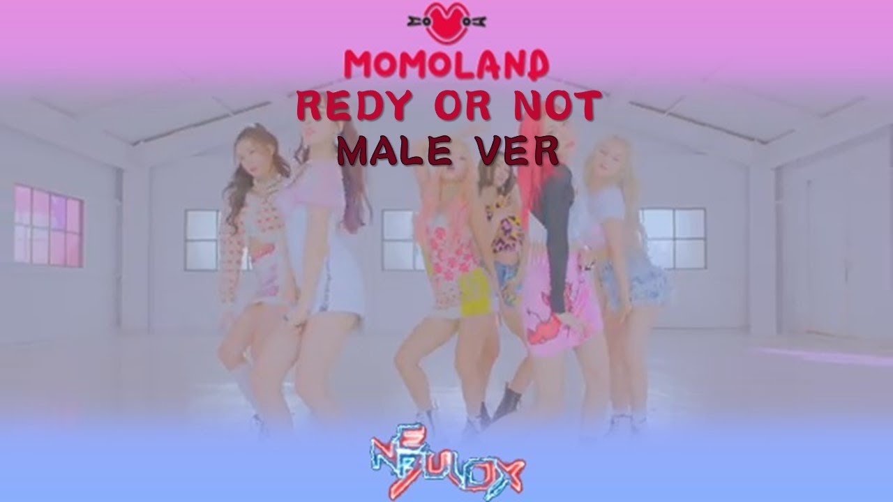 Momoland - Ready or Not [Male Ver.]