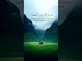 Surah | Al | #duet #recitaion #naat #bayan #tareeqjamel #allbayan #surah #quran #qurantilawat
