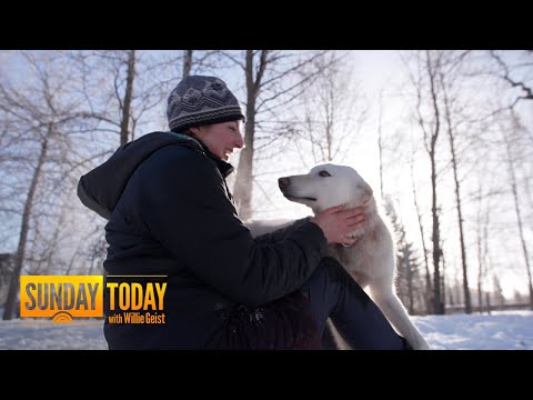 Iditarod Racer And Her #UglyDogs Become Internet Sensations | Sunday TODAY