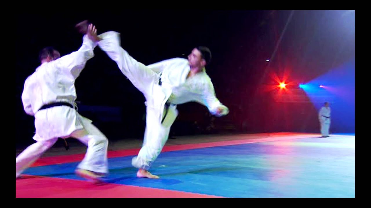 29e Festival des Arts martiaux TRAILER 2014 YouTube