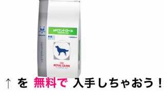 ロイヤルカナン 療法食 ペーハコントロール ドライ 犬用 8kg 格安&無料価格でGETする方法を期間限定で紹介中