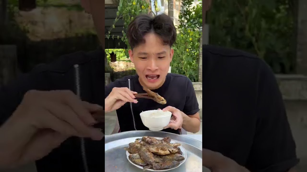 C&acirc;u chuyện cảm động về ch&oacute; m&egrave;o #Shorts