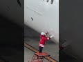 カーゴドア・オープン!JAL Boeing 787-8 Dreamliner Ground Handling 東京国際(羽田)空港 #Shorts