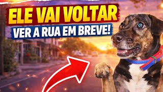 ACHEI QUE ISSO NUNCA IRIA ACONTECER