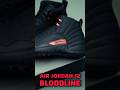 Air Jordan 12 Bloodline Roman Reigns Sneaker #sneakers #romanreigns #nike