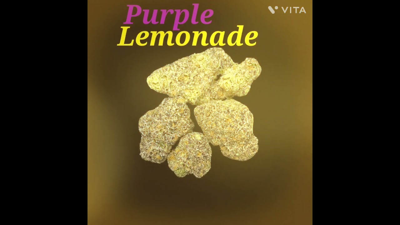 This New Drop is Bonkerss🤯🤯 *i do not own rights to this music* 