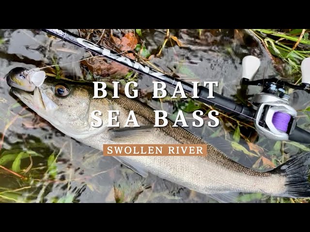 blueblueコノ野郎で増水河川を攻める！【ビッグベイト】 - YouTube