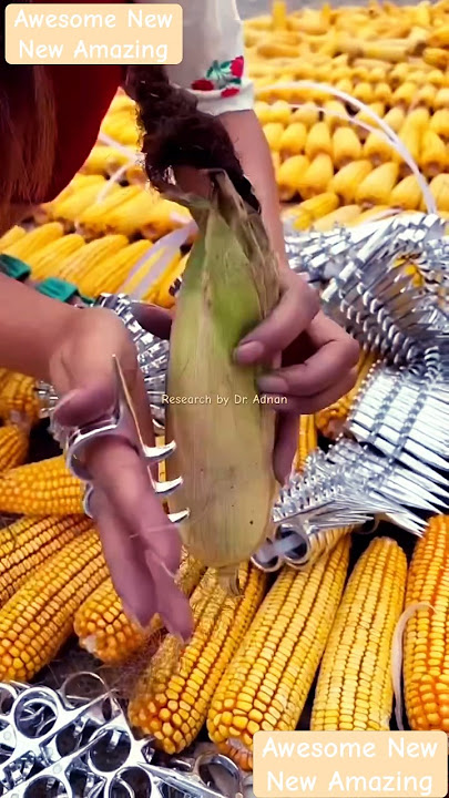 New type of corn peeler in China