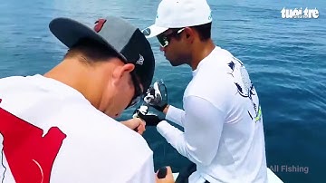 Video Dùng gà Tây câu được 