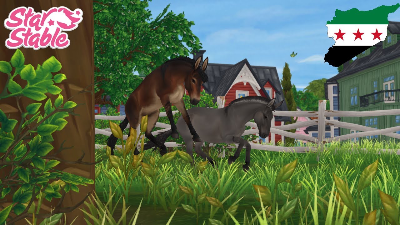 Das Maultier Rassenvorstellung 🐎 Star Stable Online