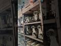 Sewing machine Shop l All types of sewing machines Available l #machine #juki #shorts #viral