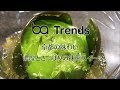 【Trends】京都のあじわい 濃厚とさっぱりの抹茶スイーツ　茶寮FUKUCHA