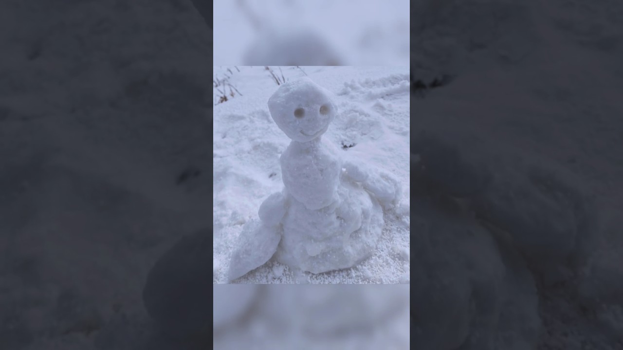 Mr. Snow Man, Heello 🤗