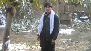 M Musa dostum