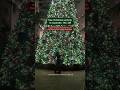 stepping into christmas with a free holiday adventure🎄 #StepIntoChristmas #EltonJohn #shorts #xmas