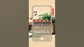 سورة القلم 🤎 #قرآن_كريم #ارح_قلبك #تلاوة_خاشعة #العفاسي_قرآن #ترند #دويتو #1000subscriber #اكسبلور
